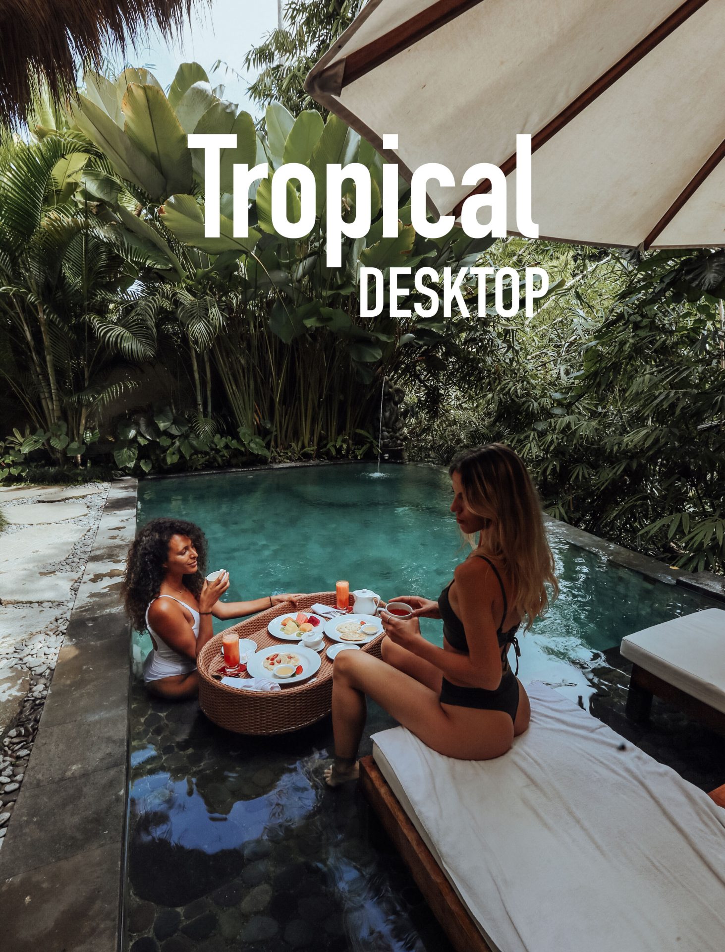 Tropical Desktop - Meryl Denis Presets